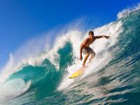 开云APP-乌拉圭对阵伊朗，当团队铁壁遇上莱万这位大场面先生