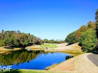 开云体育官网-欧塞尔铁杆球迷捐资支持俱乐部改善球场设施的简单介绍