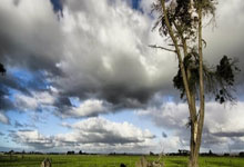 开云官网-阿森纳逆转中国，哈兰德扛起全队